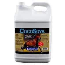 Coco Soya