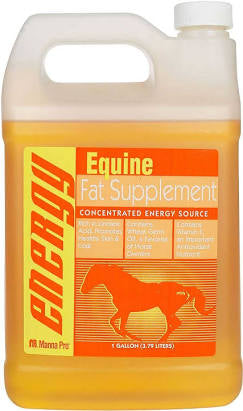 Equine Energy