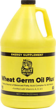 Pure Wheat Germ Oil